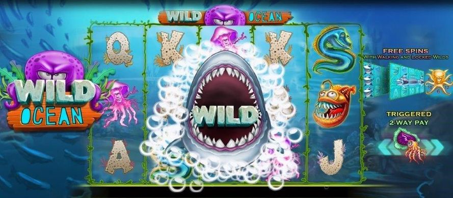 wild ocean booming games recension